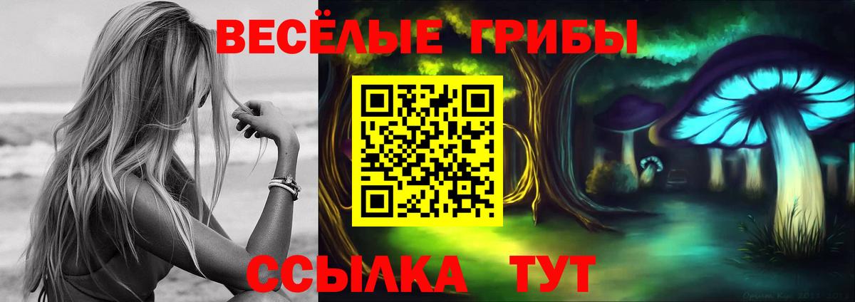 Джанкой  Псилоцибиновые грибы MAGIC MUSHROOMS  Галлюциногенные грибы Magic Shrooms  Вход с VPN 